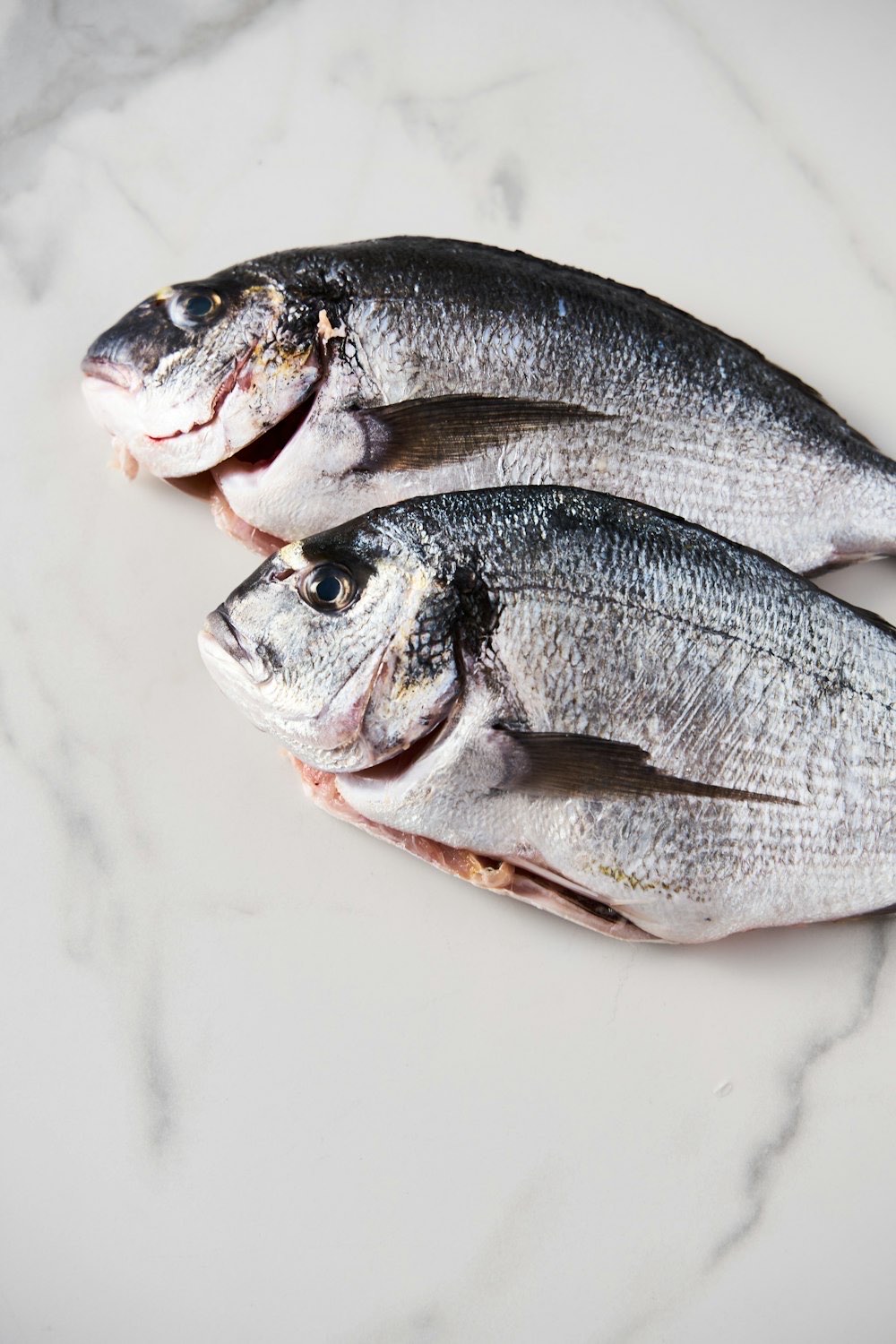 Two fresh whole porgy on a marble counter