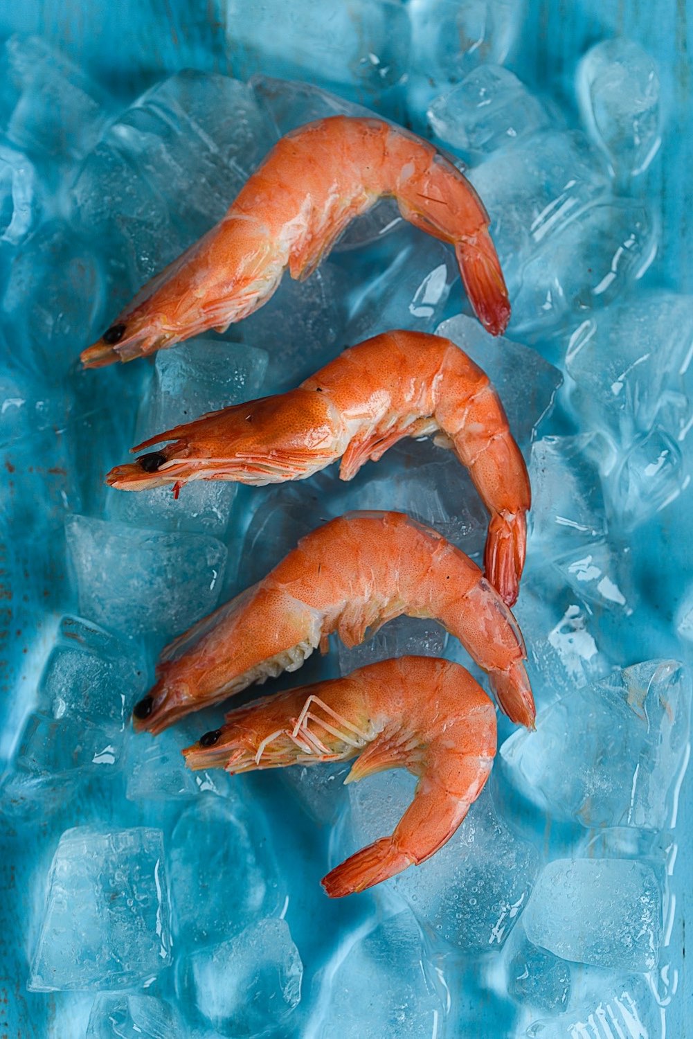 Fresh shrimp on ice